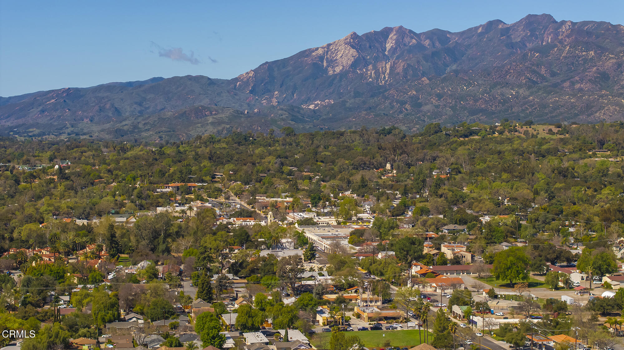 0 Bryant Street Ojai, CA 93023 - Photo 32 of 35 a view of a bunch of trees in a field