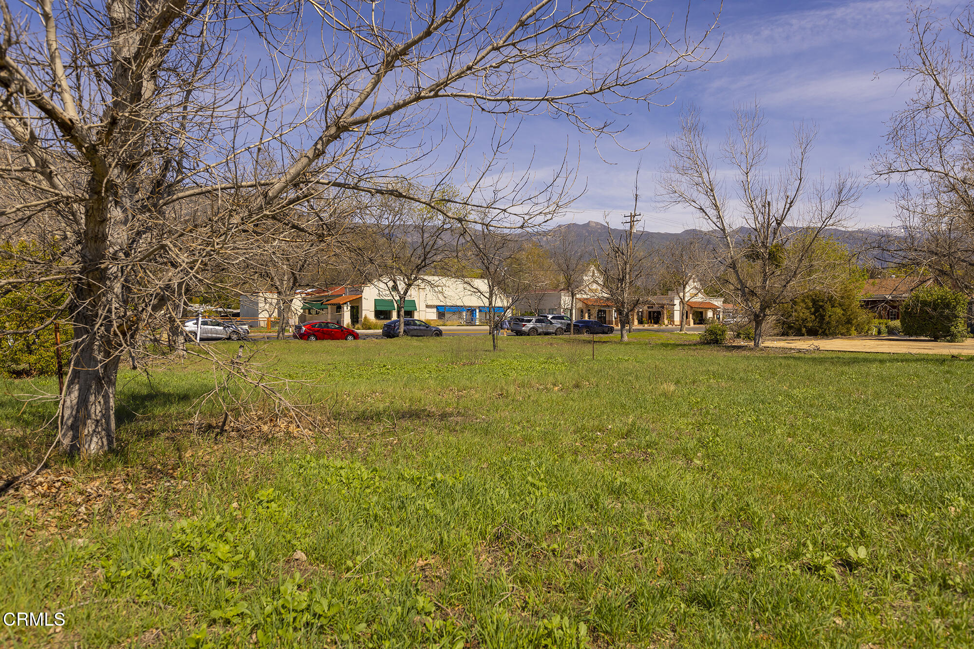 0 Bryant Street Ojai, CA 93023 - Photo 6 of 35 a view of a park that has large trees