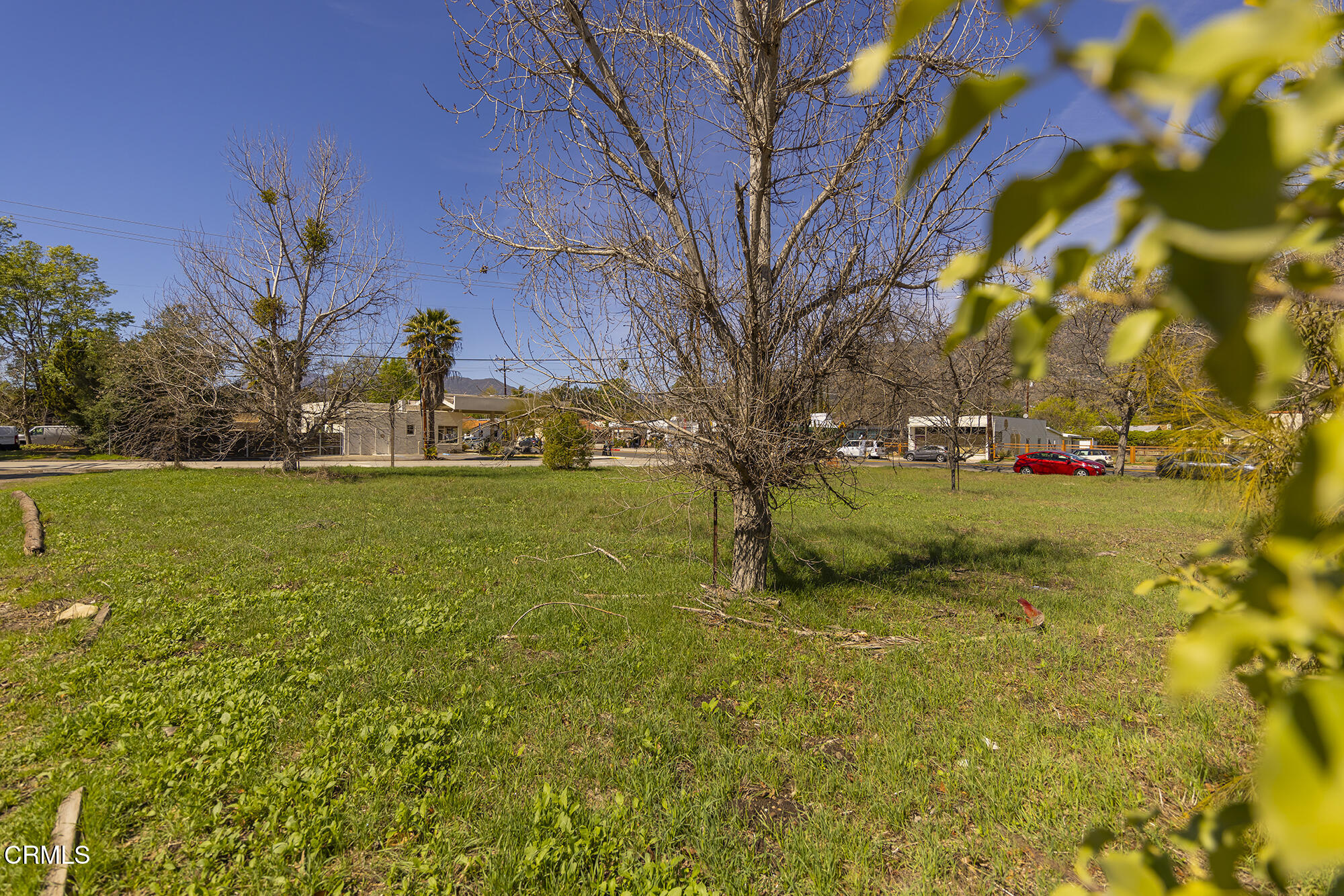 0 Bryant Street Ojai, CA 93023 - Photo 9 of 35 a view of yard with swimming pool