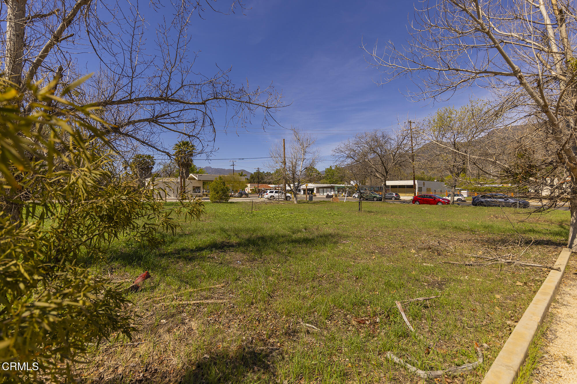 0 Bryant Street Ojai, CA 93023 - Photo 10 of 35 a view of a yard with an outdoor space