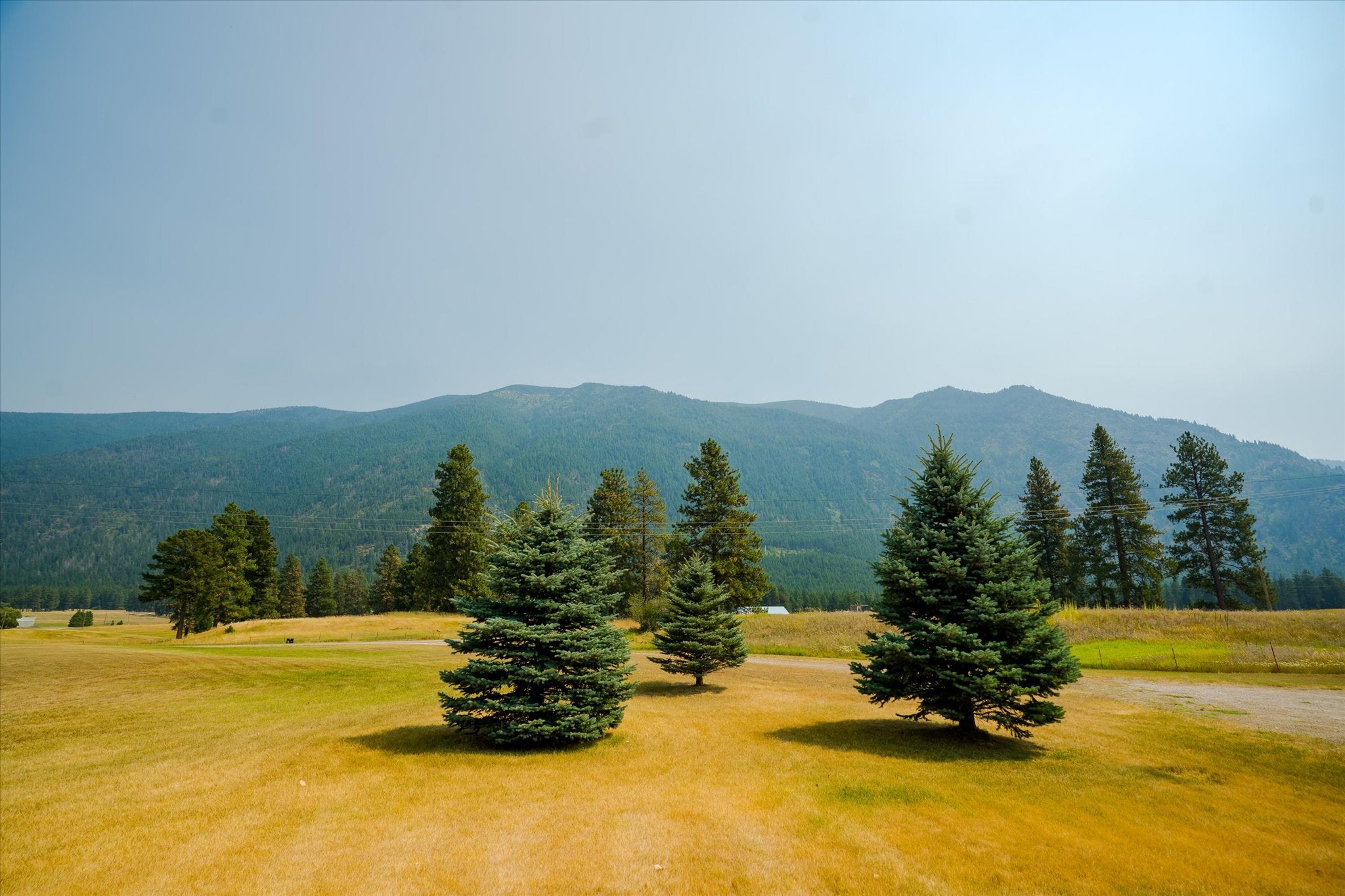 600 Jensen Road Columbia Falls, MT 59912 - Photo 86 of 88 Gallery Image 86