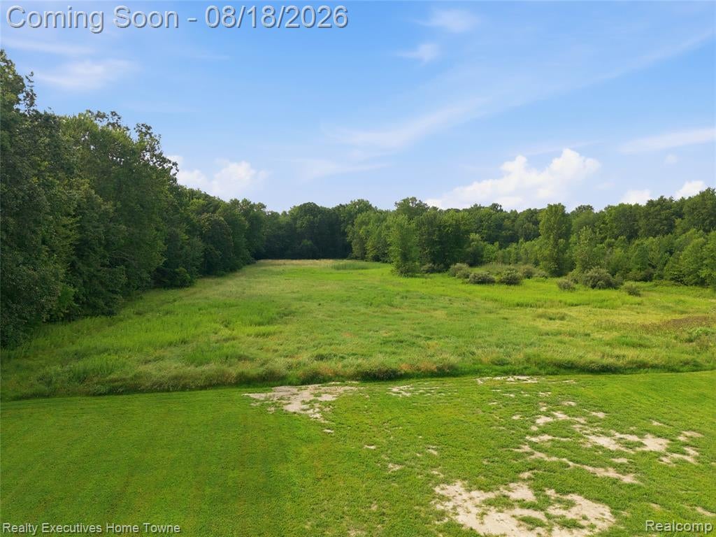 24450 Chapman Road Macomb, MI 48042 - Photo 72 of 74 Gallery Image 72