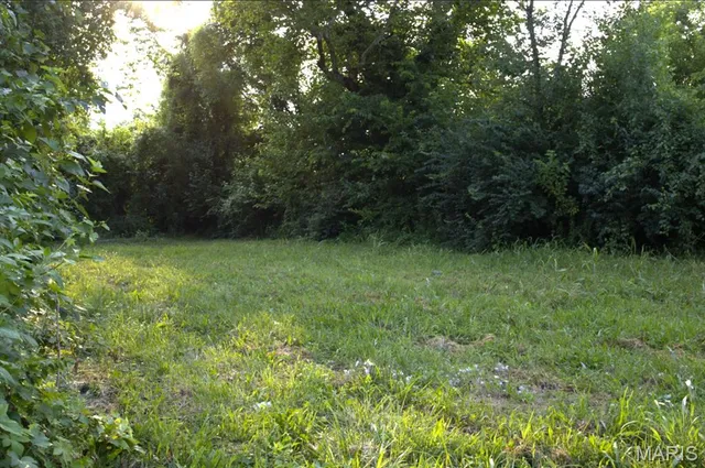 $2,500 | 1529 North 44th Street, East St. Louis, IL 62204