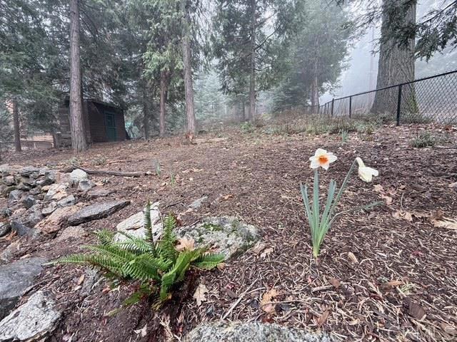 22258 Crestline Road Palomar Mountain, CA 92060 - Photo 46 of 56 a backyard of a house with lots of green space