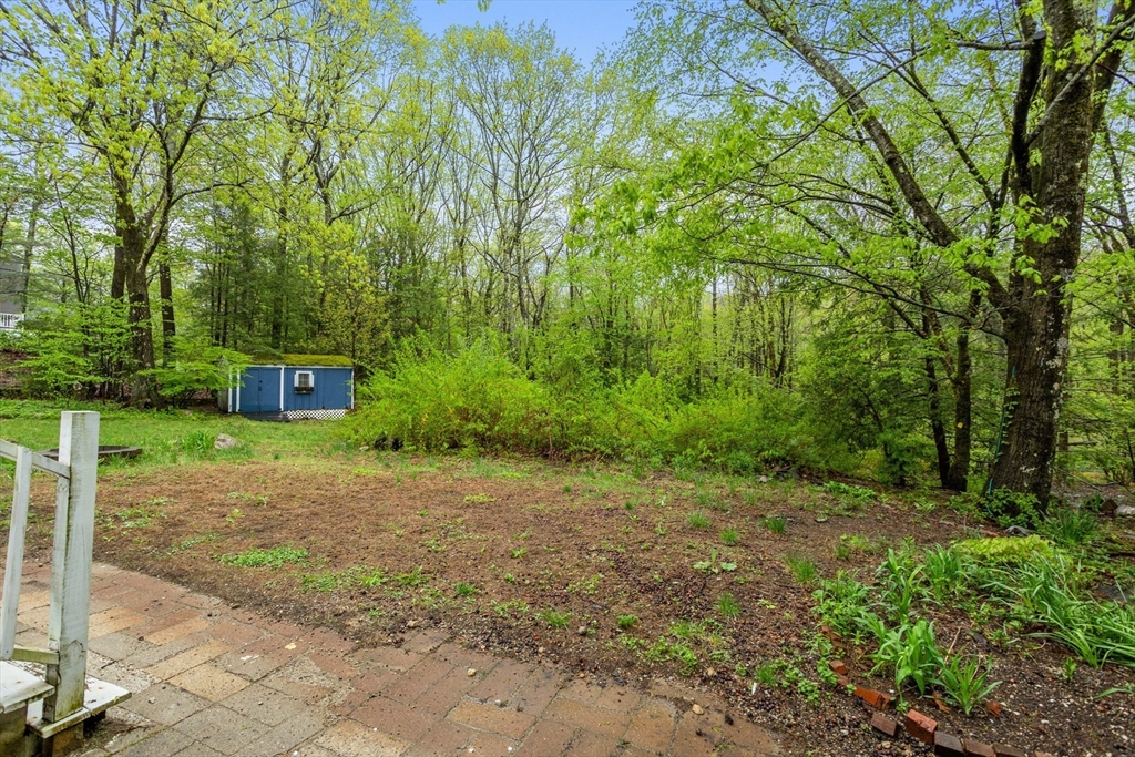 355 Wares Road Ashby, MA 01431 - Photo 36 of 38 a view of a plants with large trees
