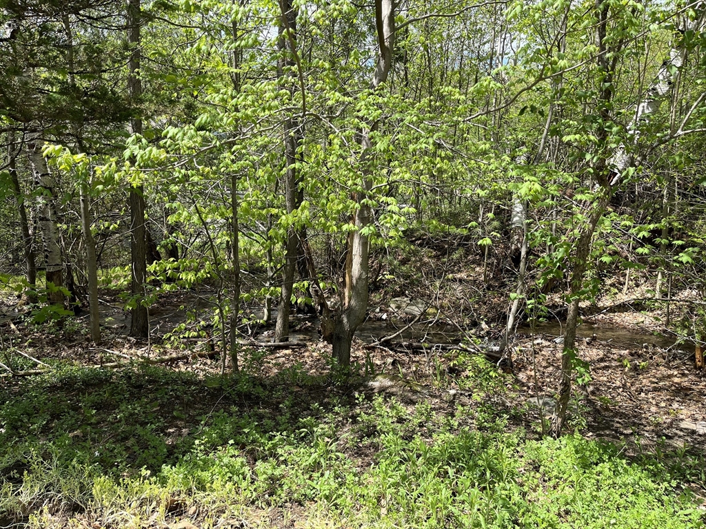 355 Wares Road Ashby, MA 01431 - Photo 38 of 38 a view of outdoor space and green space
