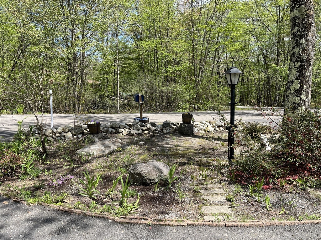 355 Wares Road Ashby, MA 01431 - Photo 5 of 38 a view of a yard with trees
