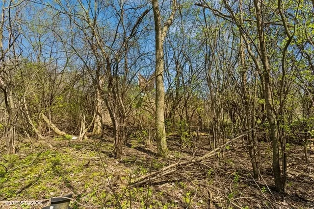 $150,000 | 1630 Myrtle Park Street, Roselle, IL 60172