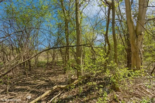 $150,000 | 1630 Myrtle Park Street, Roselle, IL 60172