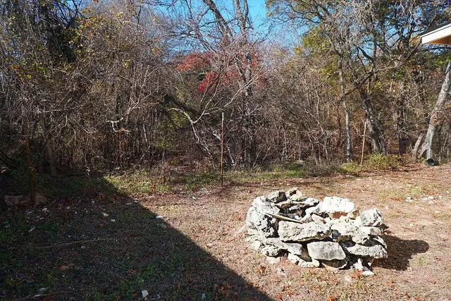 a view of a yard with plants