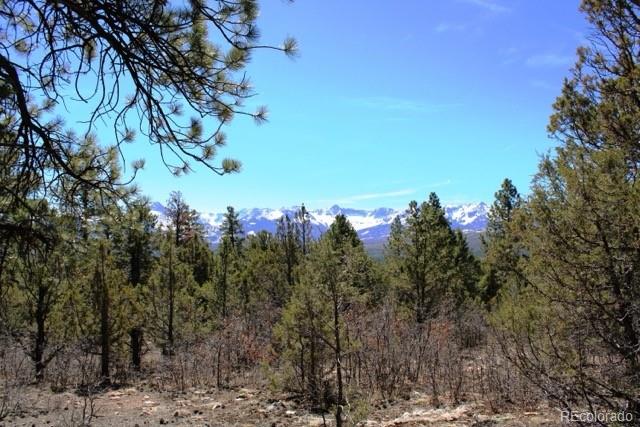 0 Old Relay Road Ridgway, CO 81432 - Photo 9 of 18 Gallery Image 9