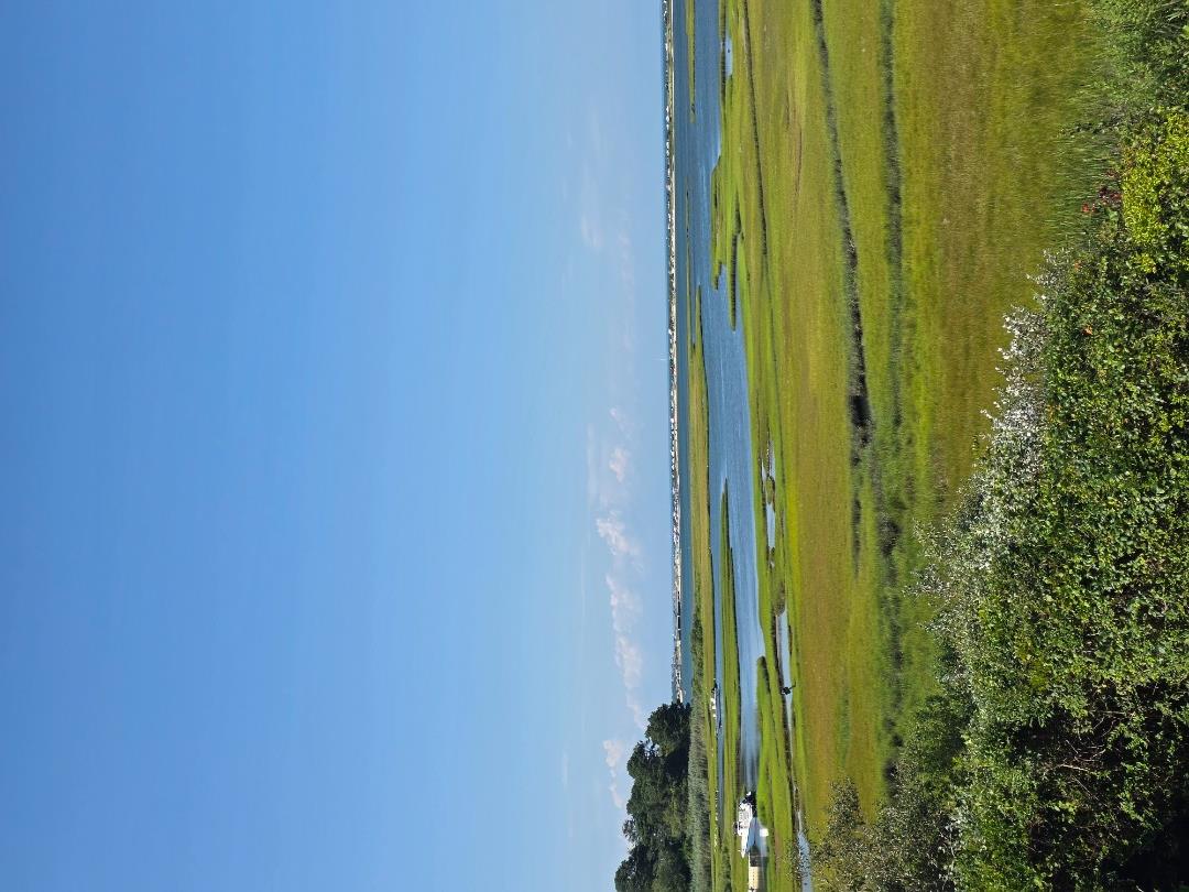 49 The Boulevard Edgartown, MA 02539 - Photo 22 of 49 Gallery Image 22