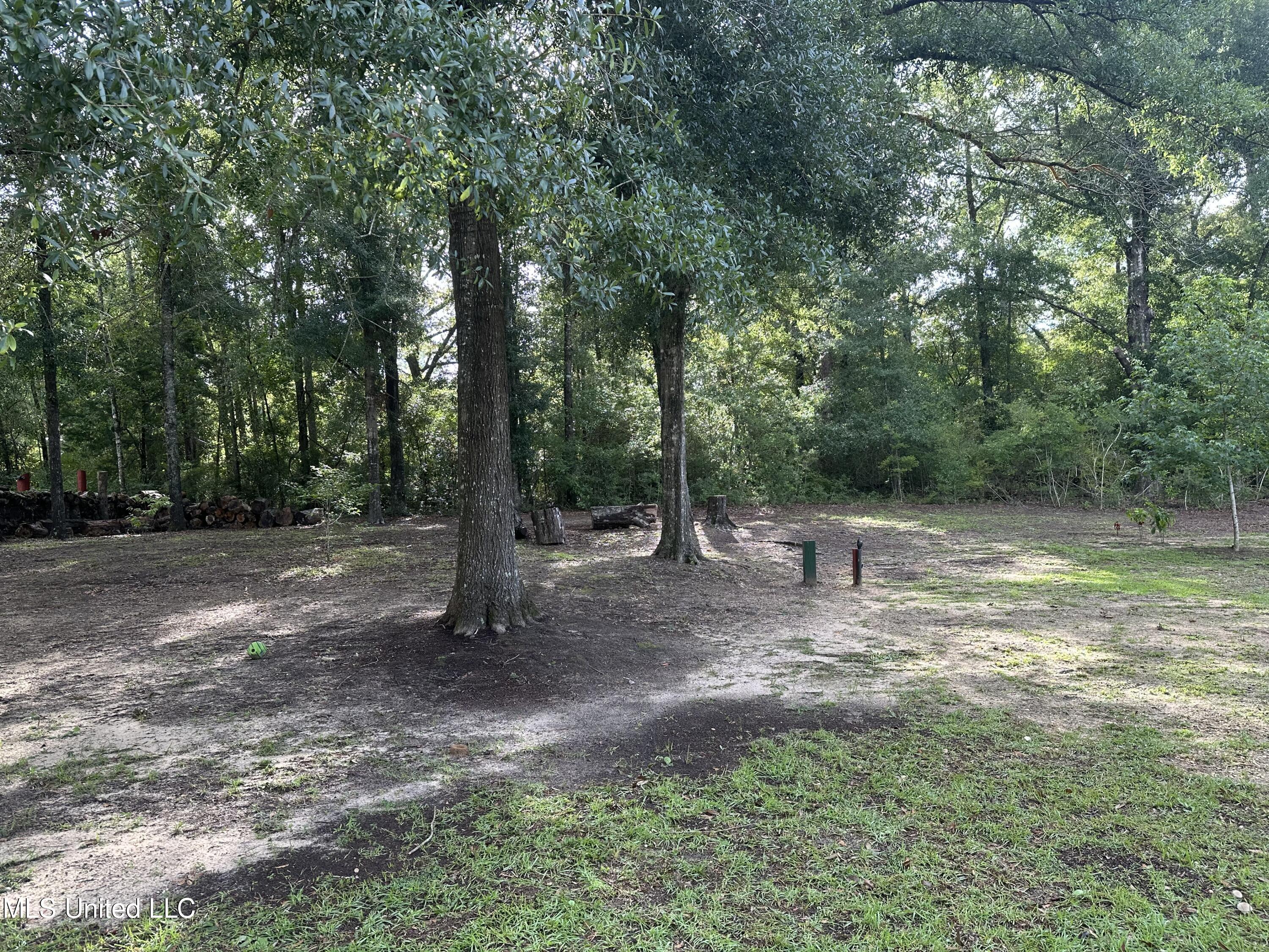 130 Ben Rogers Road Lucedale, MS 39452 - Photo 5 of 13 IMG_7733