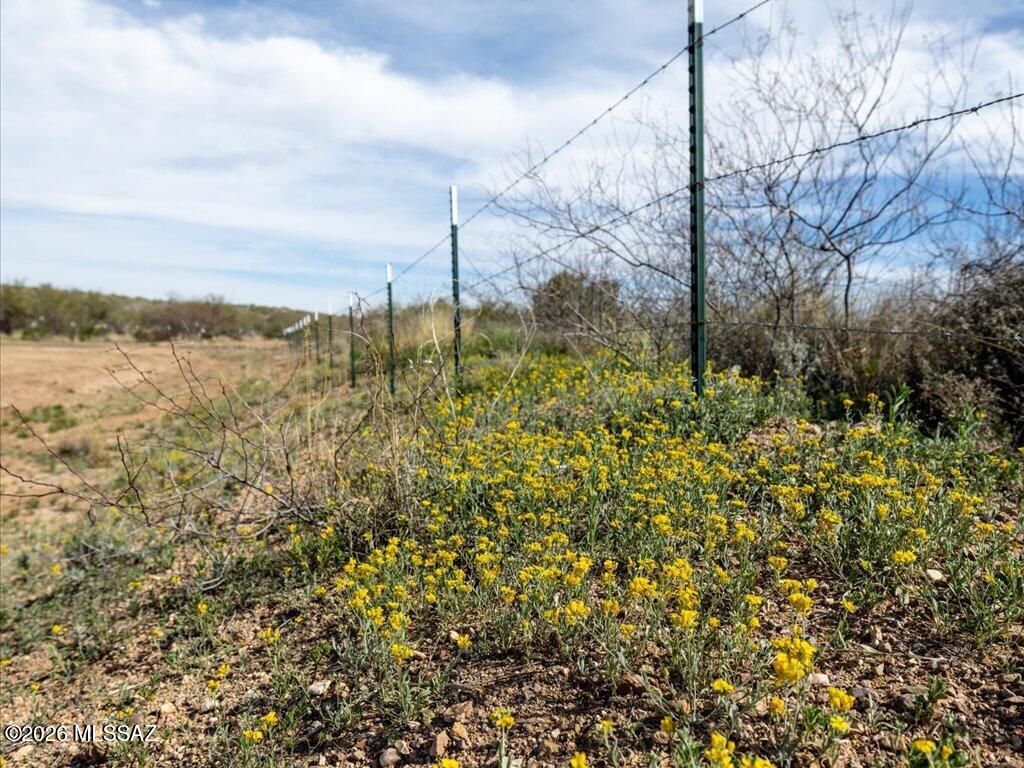 4064 East Andrada Road Vail, AZ 85641 - Photo 23 of 29 23-Andrada-20
