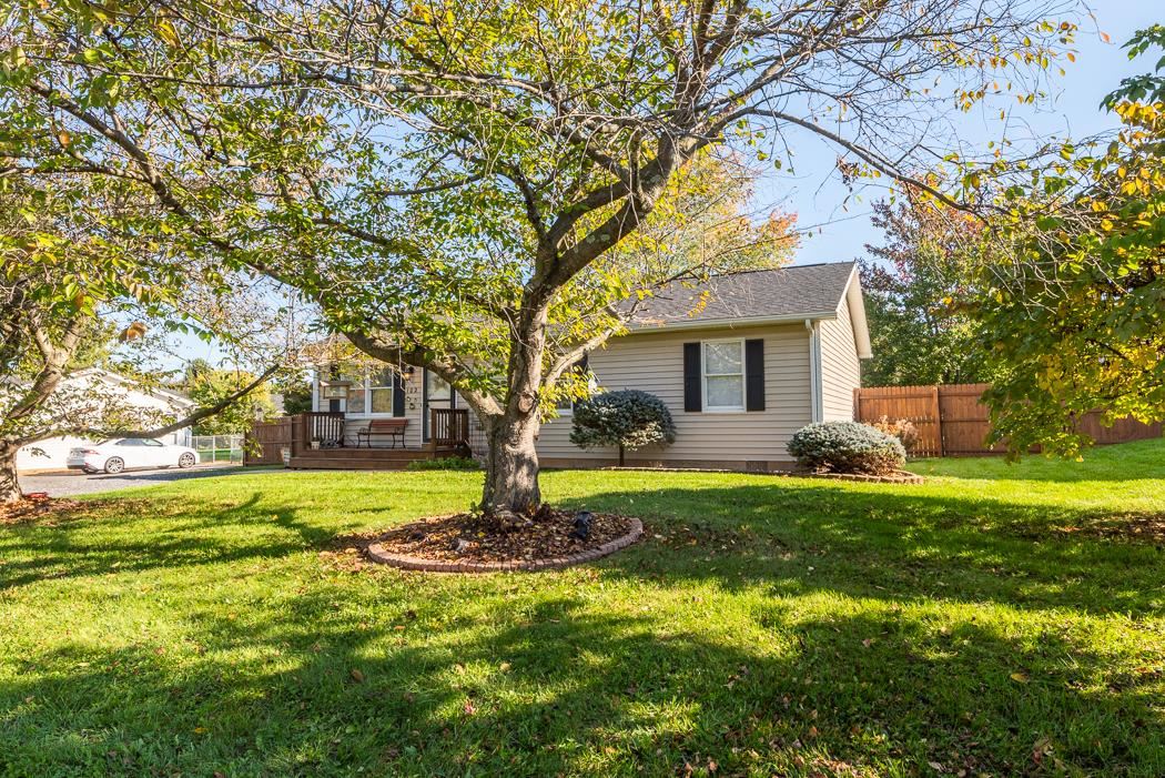 102 Harvest Road Waynesboro, VA 22980 - Photo 47 of 55 a tree in front of a white house