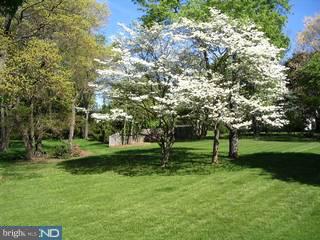 2 Reynard Road Malvern, PA 19355 - Photo 3 of 6