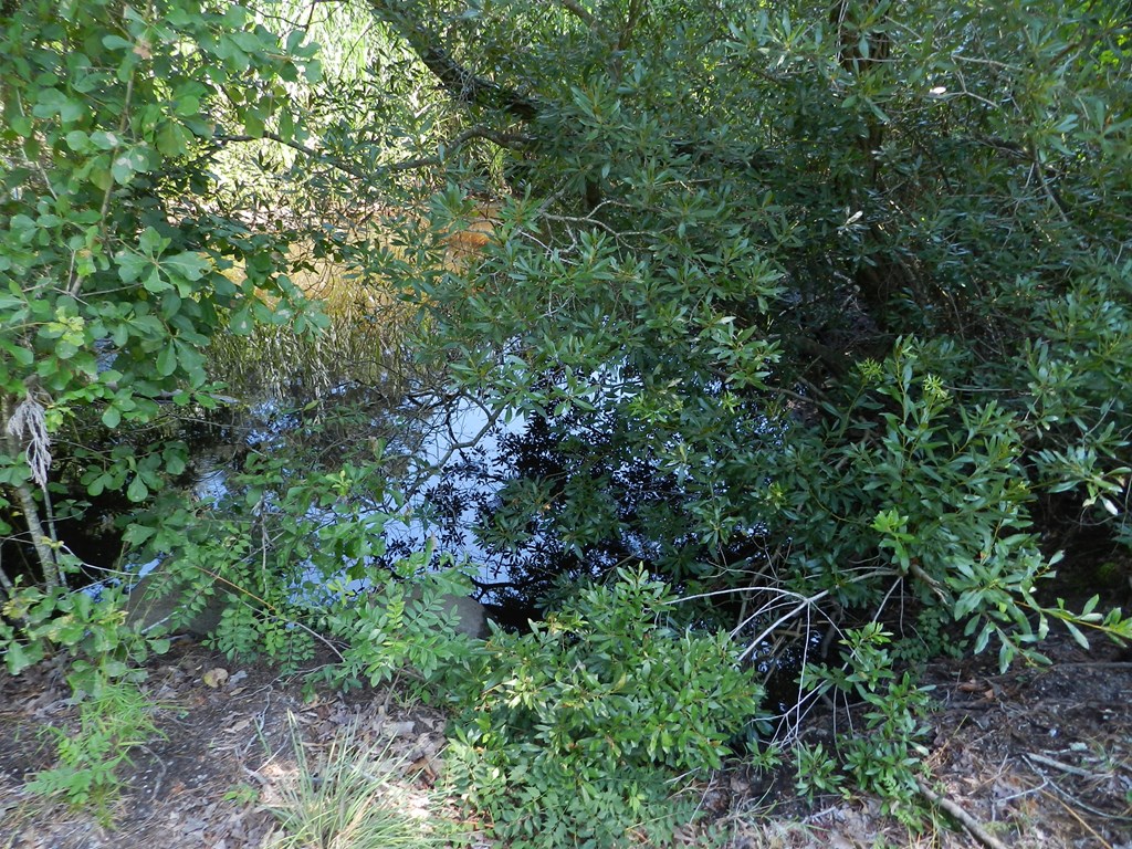 Lot B6 Saltworks Road, Unit B6 Exmore, VA 23350 - Photo 21 of 28