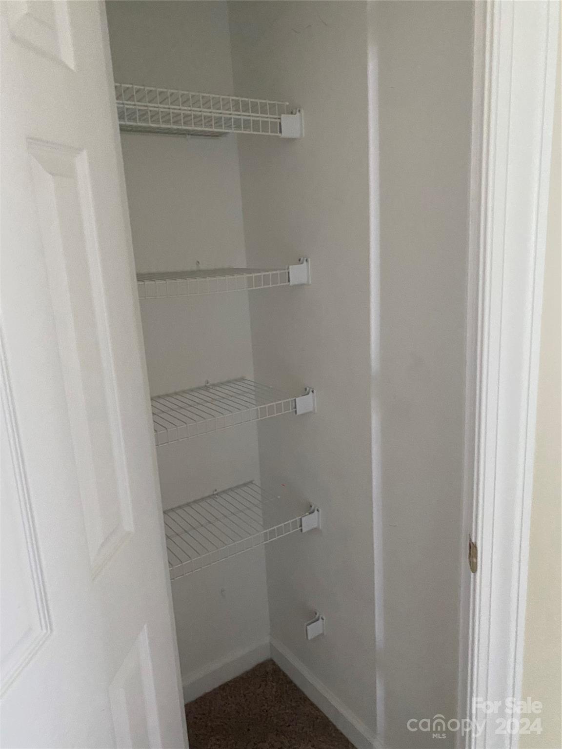 1623 Caille Court Fort Mill, SC 29708 - Photo 33 of 41 a view of closet