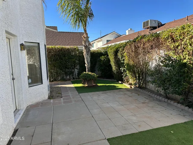 a view of backyard with potted plants