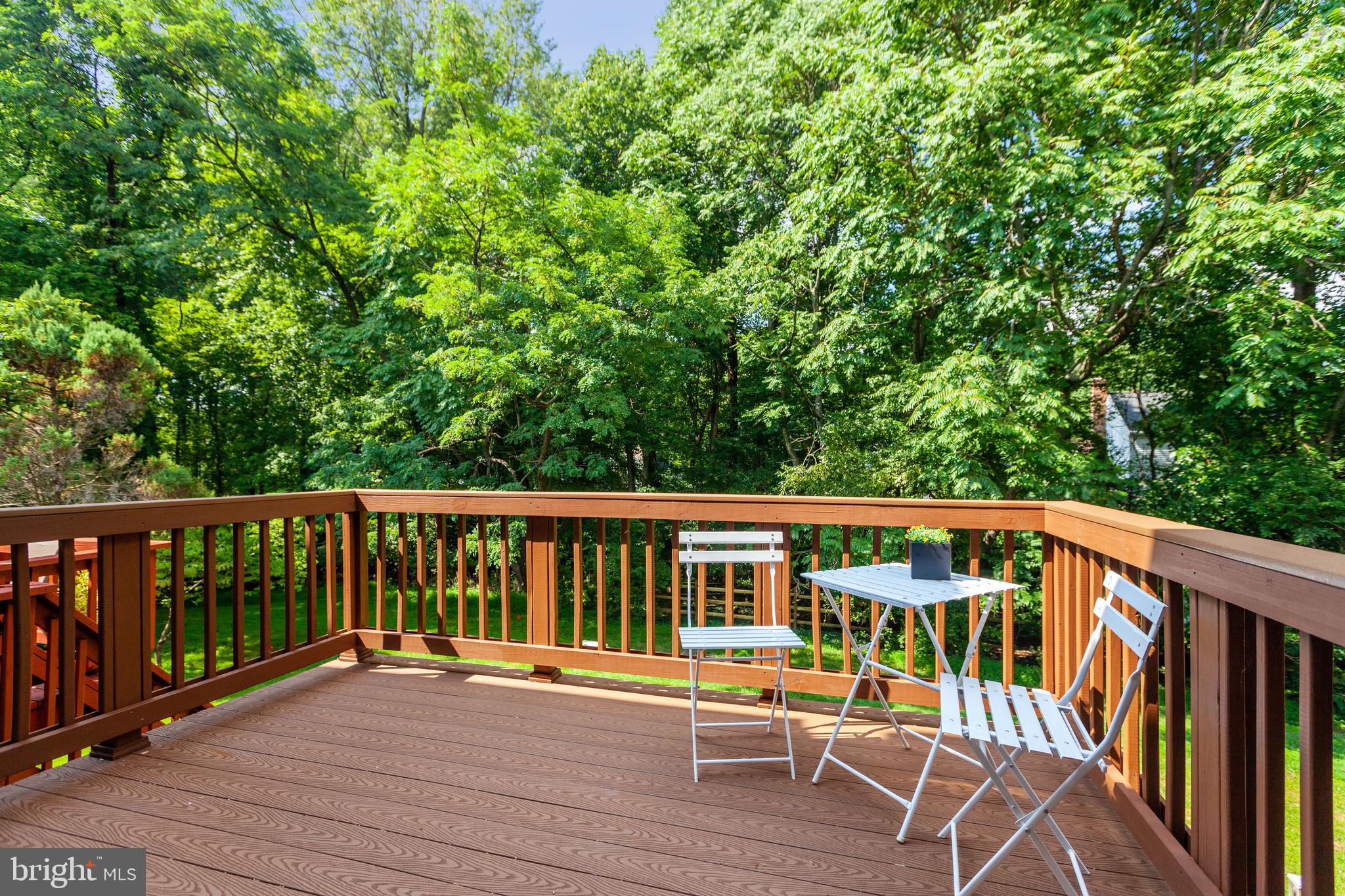 11366 Baroque Road Silver Spring, MD 20901 - Photo 24 of 26 Peaceful and private deck