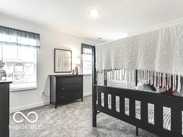 6738 Willow Way McCordsville, IN 46055 - Photo 20 of 34