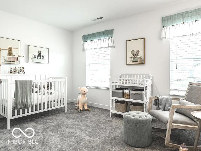 6738 Willow Way McCordsville, IN 46055 - Photo 21 of 34