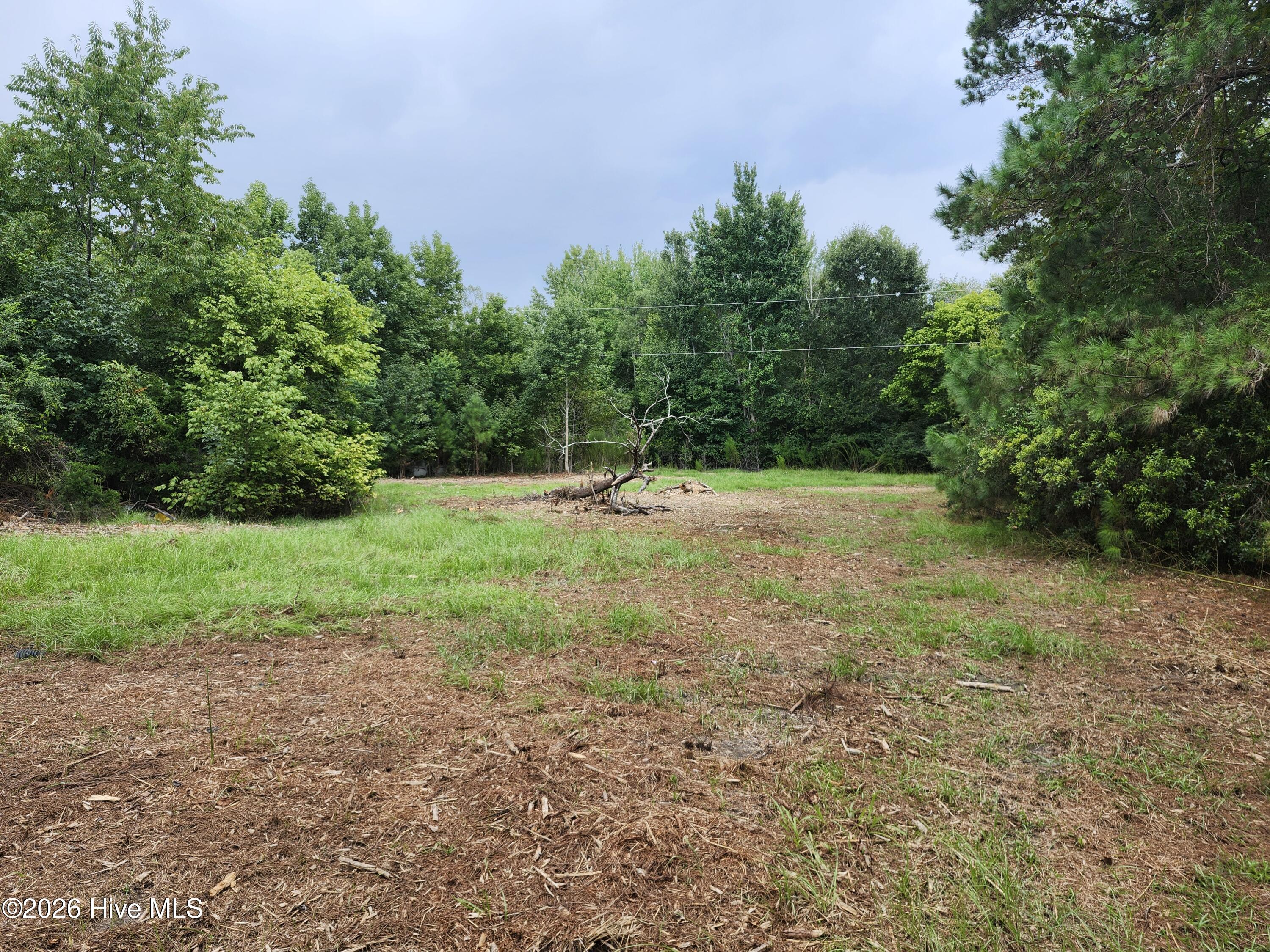 306 Howards Landing Road Hampstead, NC 28443 - Photo 11 of 16 Gallery Image 11