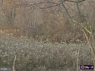 2095 West Chester Road East Fallowfield, PA 19320 - Photo 6 of 6 Gallery Image 6