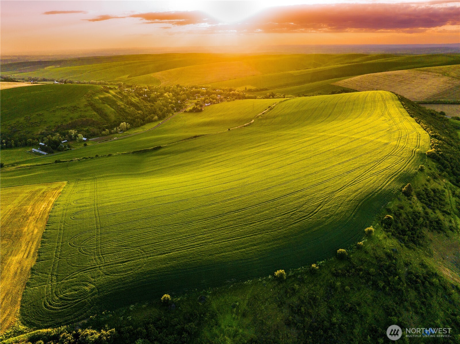1 Biscuit Ridge Road Waitsburg, WA 99361 - Photo 2 of 9