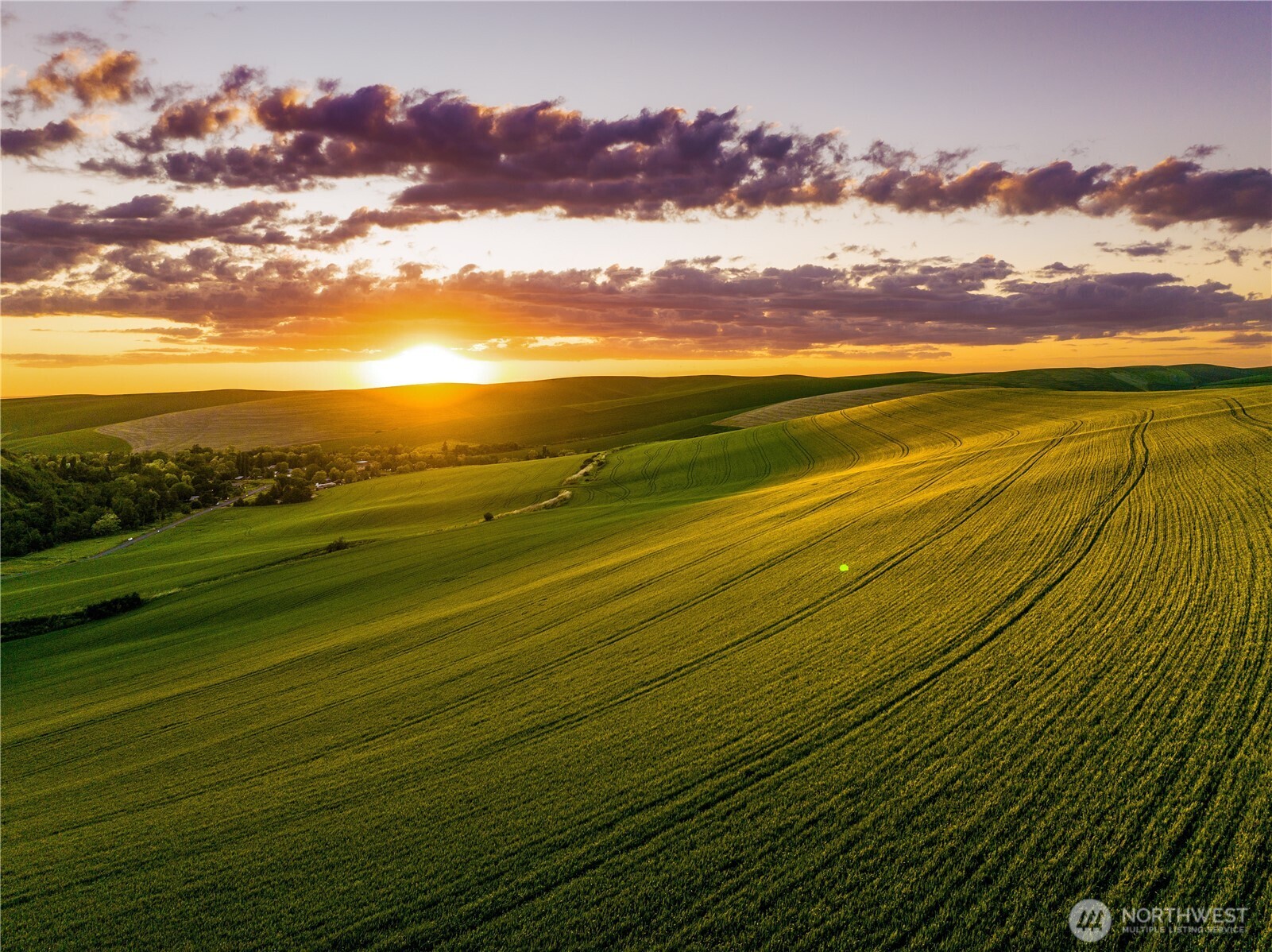 1 Biscuit Ridge Road Waitsburg, WA 99361 - Photo 3 of 9