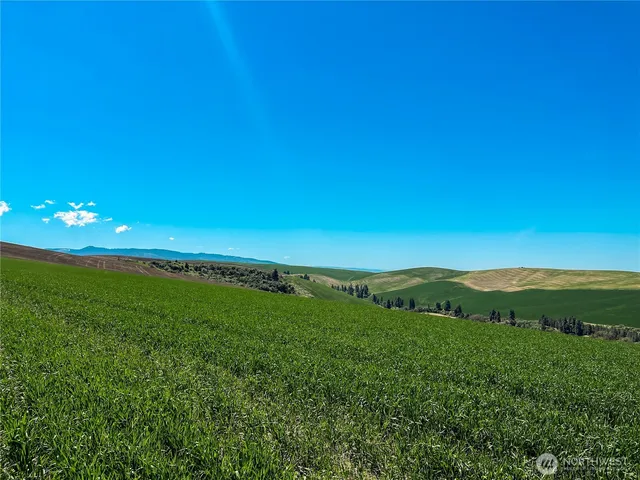 $275,000 | 1 Biscuit Ridge Road, Waitsburg, WA 99361