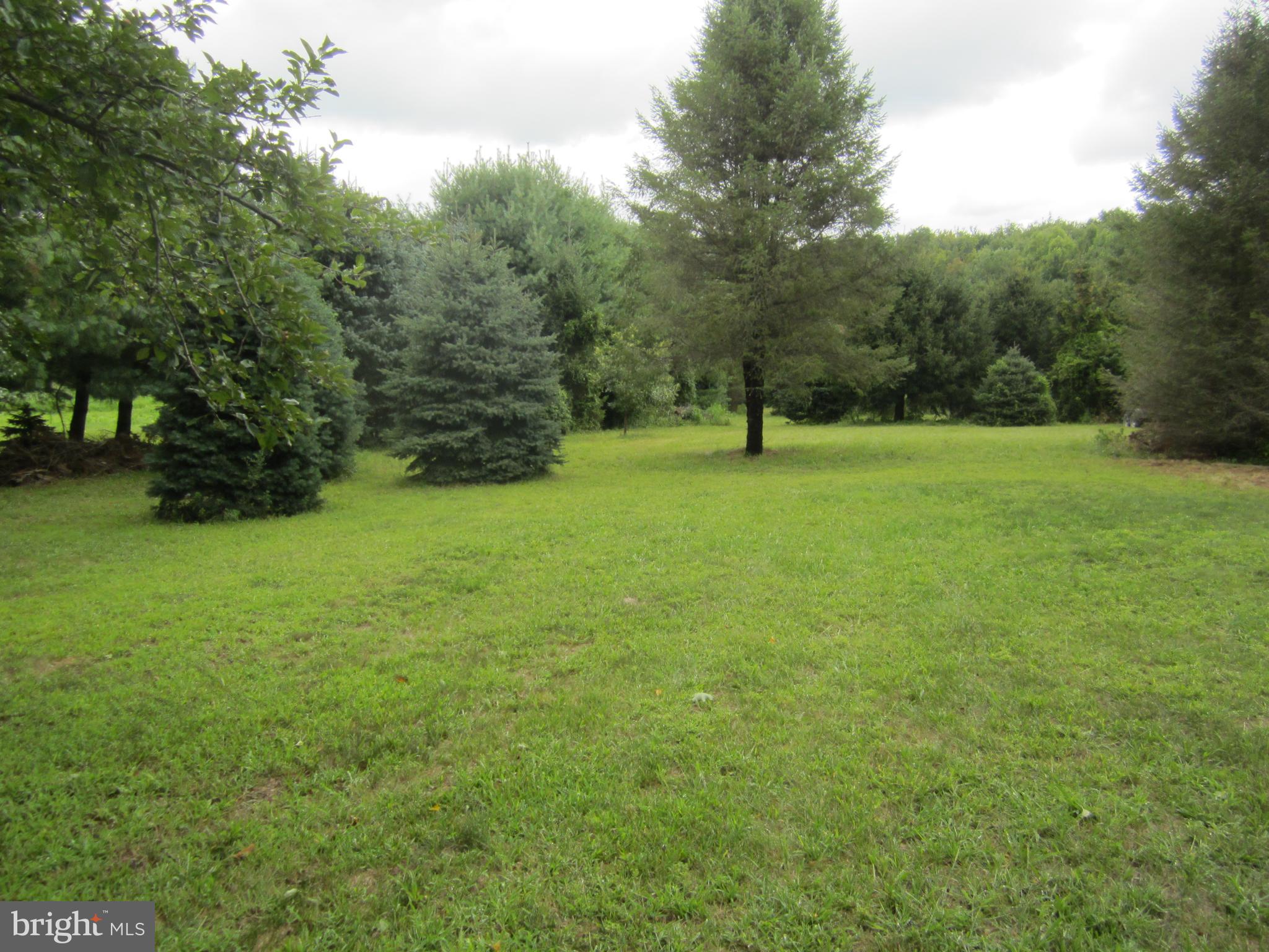 348 Eayrestown Road Southampton, NJ 08088 - Photo 28 of 32 a view of field with trees in the background