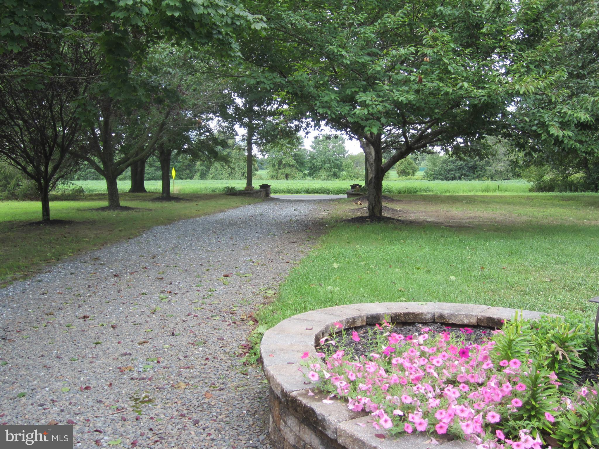 348 Eayrestown Road Southampton, NJ 08088 - Photo 32 of 32 a view of outdoor space yard and tree