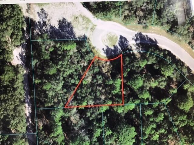 0 Southwest 65 Terrace Road Ocala, FL 34474 - Photo 1 of 1 Gallery Image 1