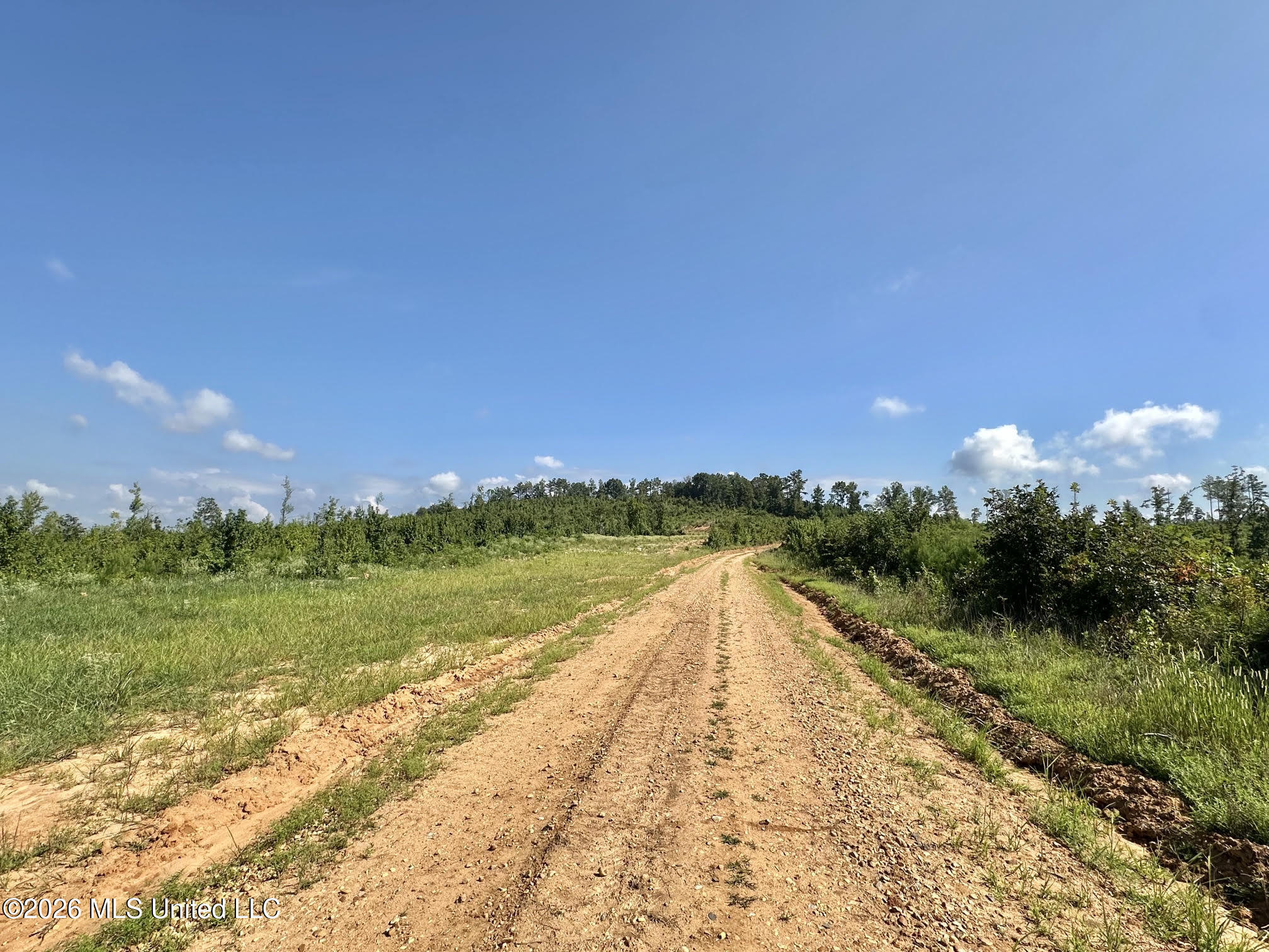 5 Will Womack Road Mantee, MS 39751 - Photo 5 of 11 11