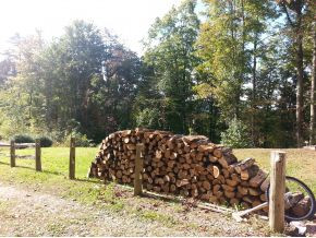 1088 Shiloh Road Erwin, TN 37650 - Photo 3 of 5 Photo 3