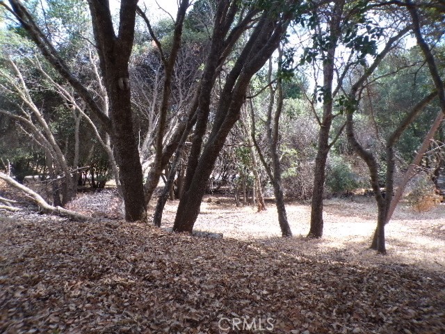 a view of outdoor space and trees