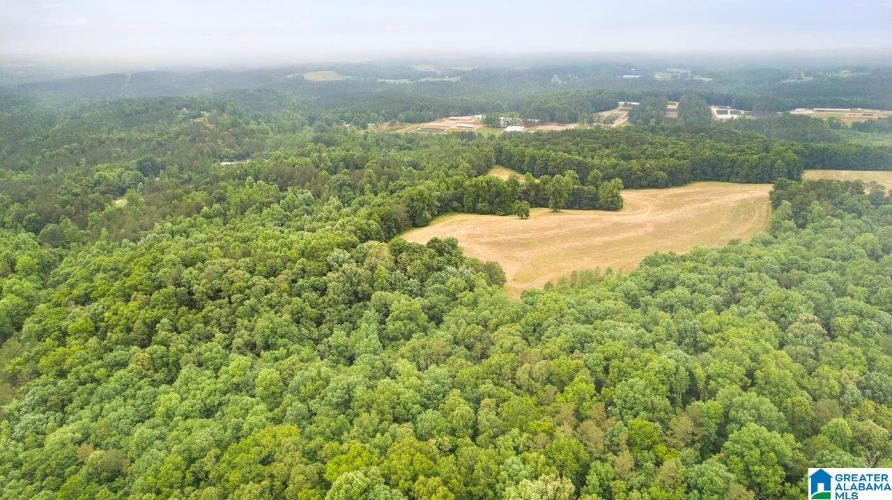 14791 County Road 10, Unit 45 ACRES Ranburne, AL 36273 - Photo 16 of 43