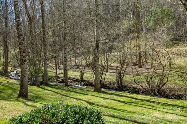 a view of a park with large trees