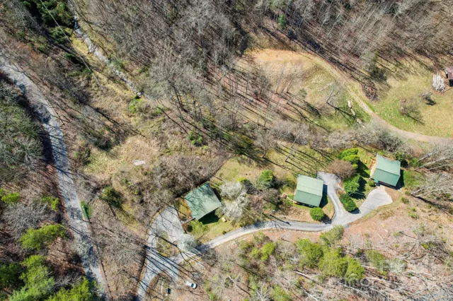 a view of a yard with plants and tree