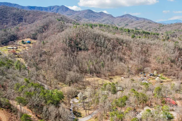 a view of a forest with mountains in the background