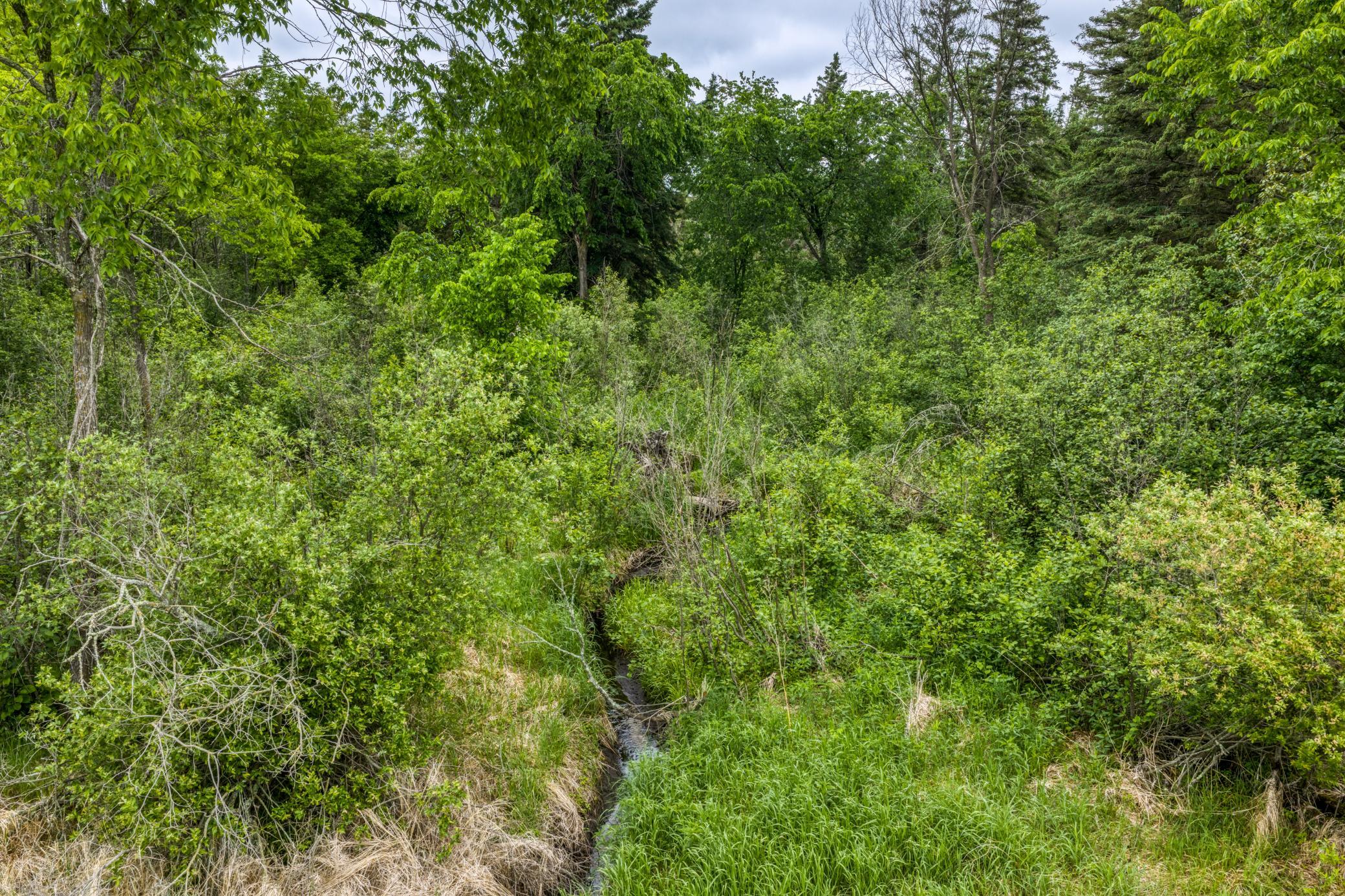 24058 County 2 Shevlin, MN 56676 - Photo 49 of 90