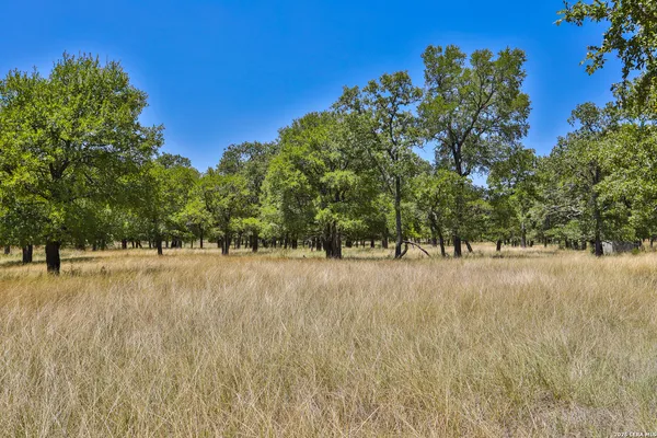 $950,000 | 32539 Tierra Robles Drive, Bulverde, TX 78163