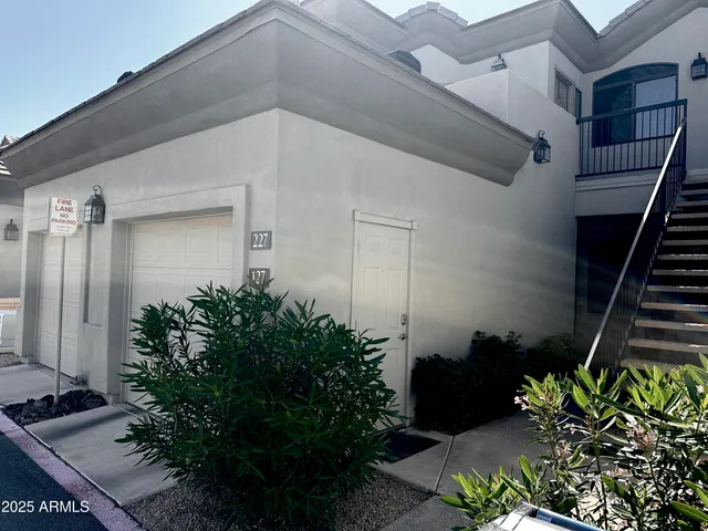a potted plant sitting in front of a house