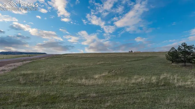 a view of yard with ocean view