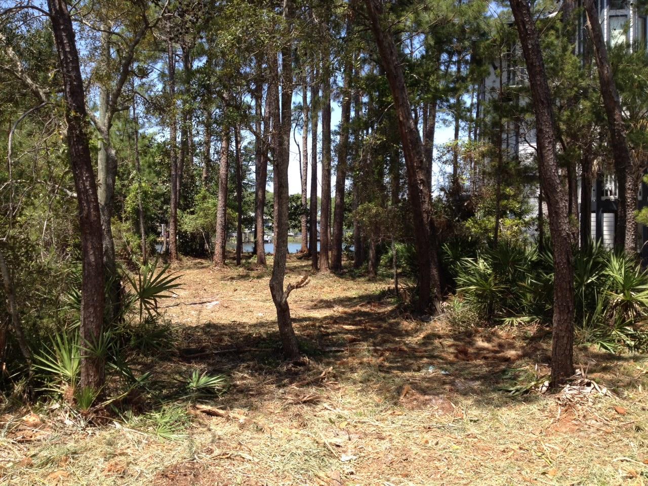 186 My Way Santa Rosa Beach, FL 32459 - Photo 4 of 7 a view of a yard with trees