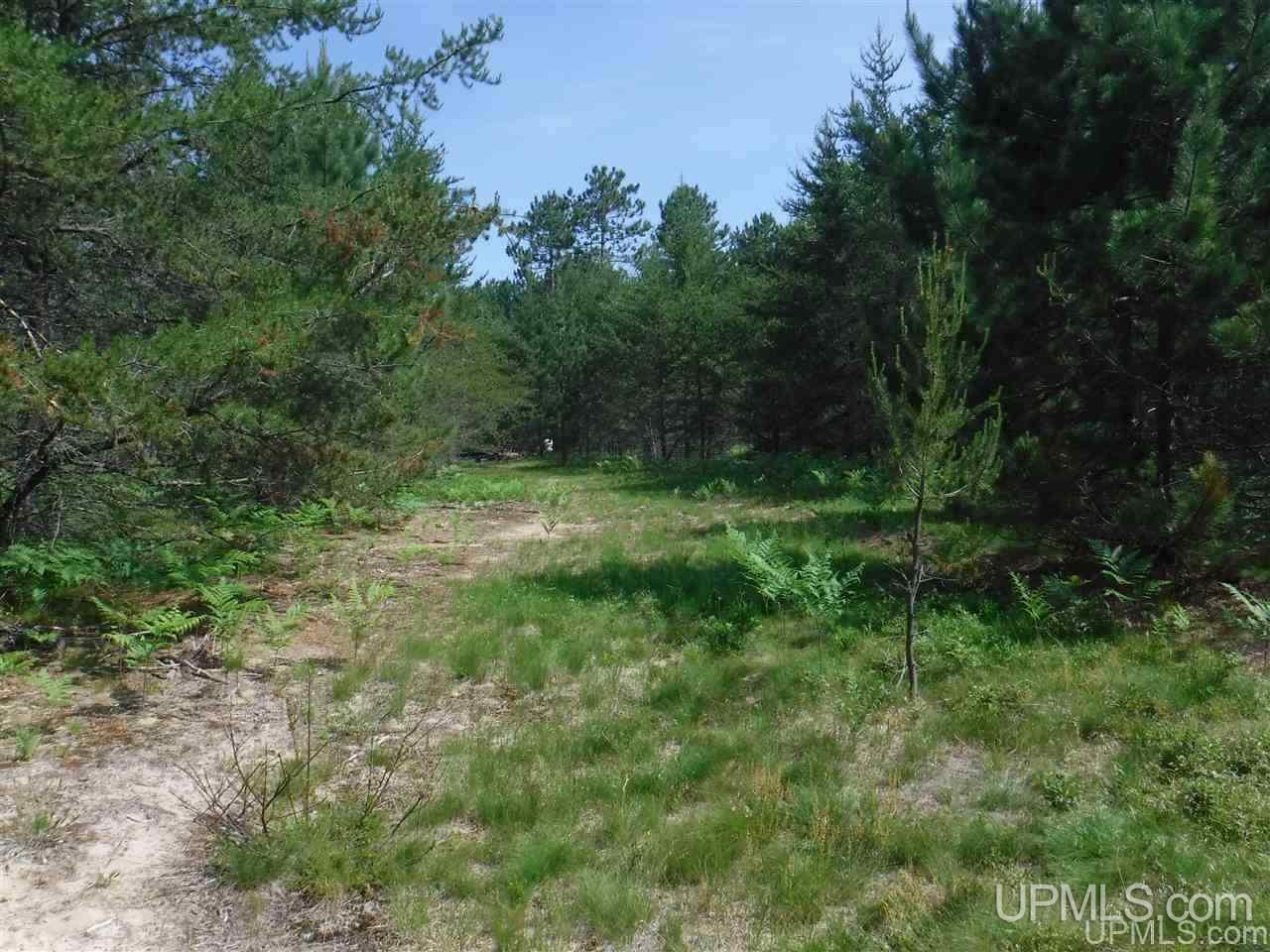 Tbd South Little Traverse Road Lake Linden, MI 49945 - Photo 4 of 7