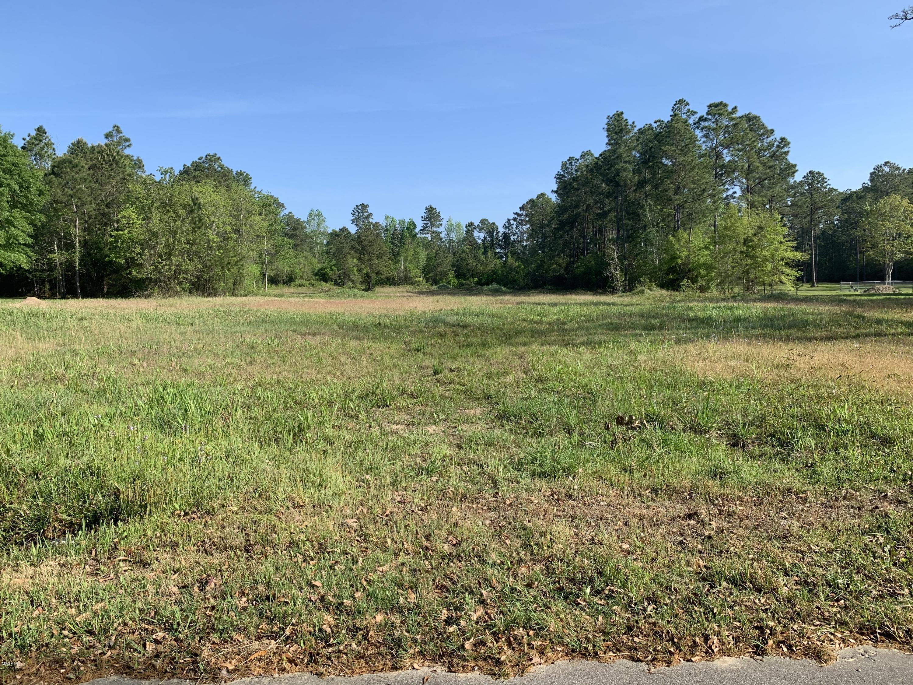 7 Boyette Road, Unit 7 LOT Biloxi, MS 39532 - Photo 2 of 2 Boyette Rd. Lot 7
