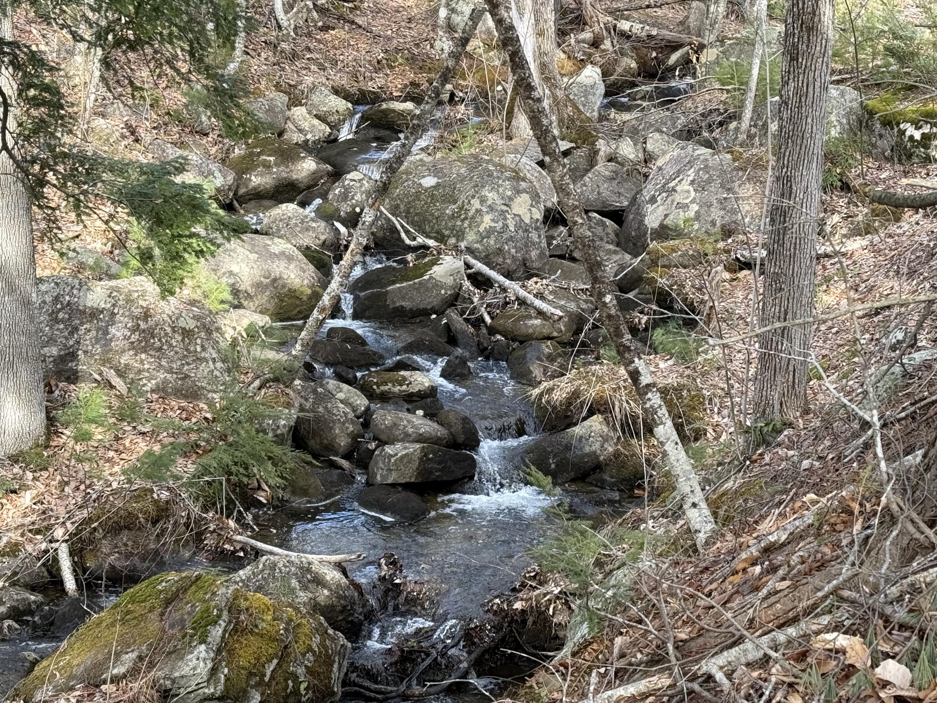 Lot #3 Moose Hill Road Livermore Falls, ME 04254 - Photo 2 of 3 IMG_1069