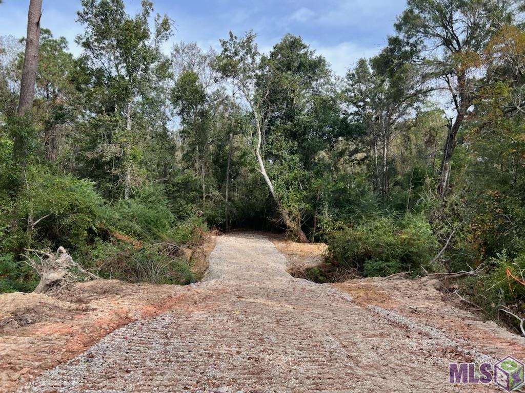 47408-0 Casey Road Hammond, LA 70401 - Photo 1 of 4 Gallery Image 1